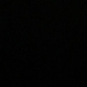 Meet your Posher, Shane